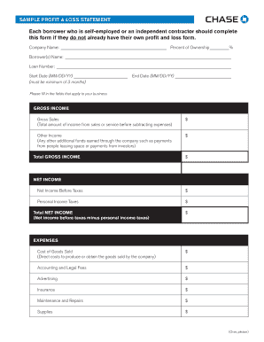 P And L Sheet Template For Hairdressers